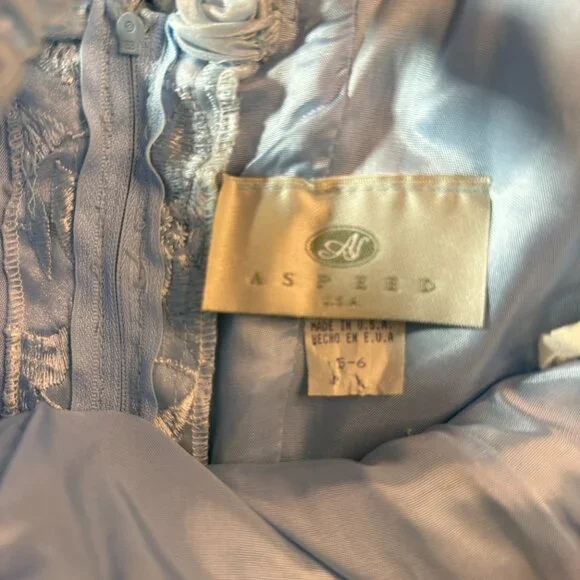 VTG📌 Aspeed Iridescent Organza 90s Fitted Corset-Style Bodice Prom Formal Gown - Picture 14 of 16